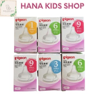 Núm ti pigeon nội địa cổ rộng đủ size s/m/l/ll