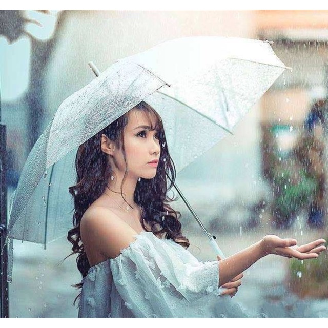 Ô trong suốt đi mưa