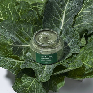 VIGONATURE Mặt nạ đất sét Kale 110g