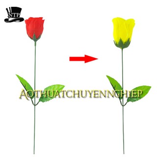 [Miễn ship] Ảo thuật hoa hồng đổi màu hàng nhập bông ôm sát không rơi khi diễn (có hướng dẫn)
