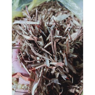 Sâm cau khô (1KG)