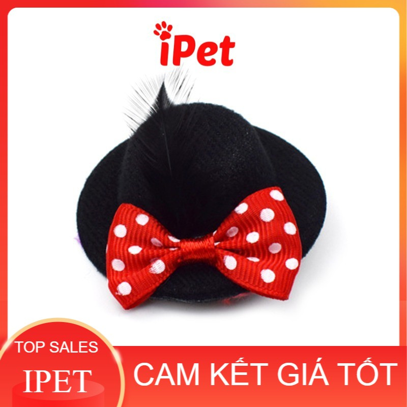 Kẹp Nơ Hình Nón Lông Vũ Dễ Thương Cho Chó Mèo - iPet Shop