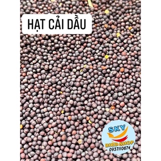 Hạt cải dầu cho chim yến hót, finch,... 500gr ( X/x: Ý)