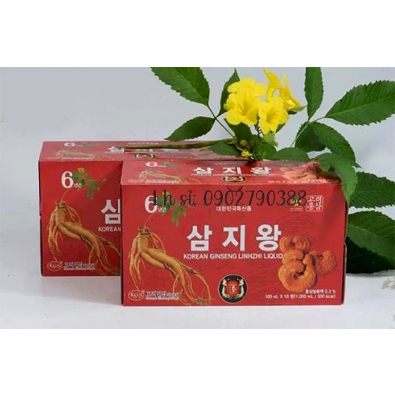 Nước Hồng Sâm Linh Chi KGS hộp 10 chai x 100ml