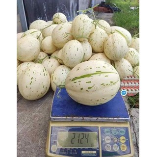 Hạt Giống Dưa Lê Ánh Sao ( Dưa Lê Sữa Hàn Quốc) 5 Hạt