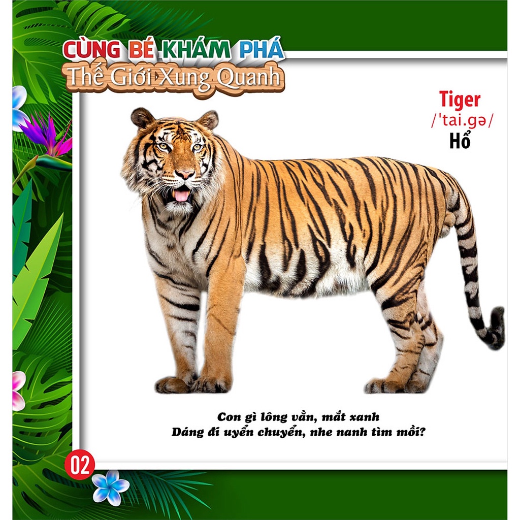 Sách - Cùng Bé Khám Phá Thế Giới Xung Quanh - Động Vật - Sách Song Ngữ