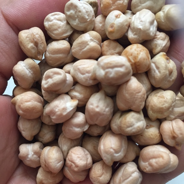 Đậu gà Non GMO 500g