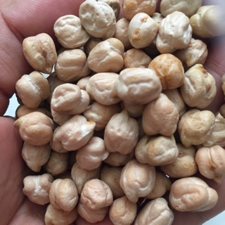 Đậu gà non gmo 500g