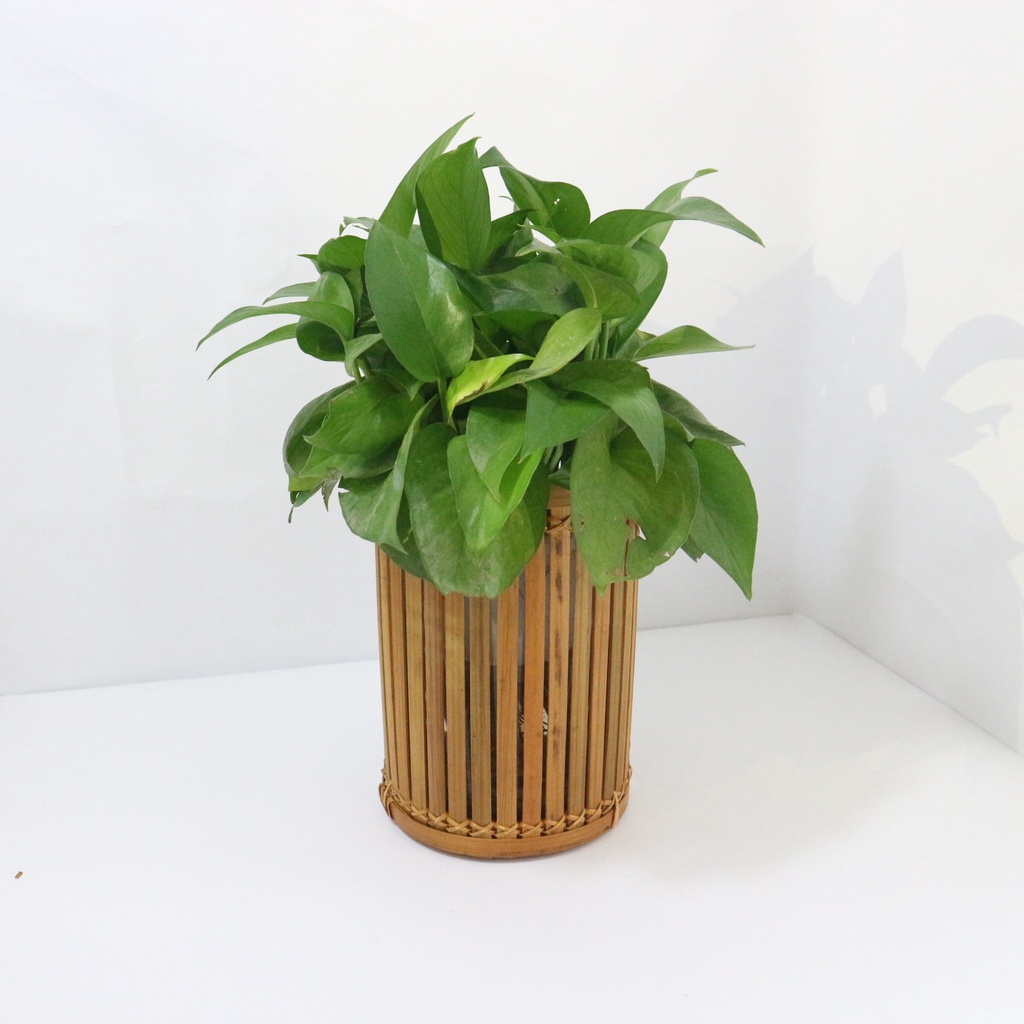 Ống đũa đan tre, đựng đũa để bàn, treo tường chắc chắn, dụng cụ nhà bếp tiện lợi _ Madan