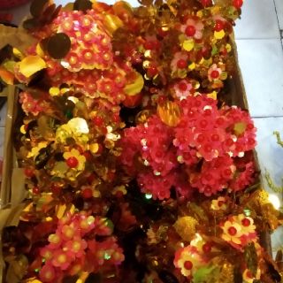 Cây cành vàng lá ngọc