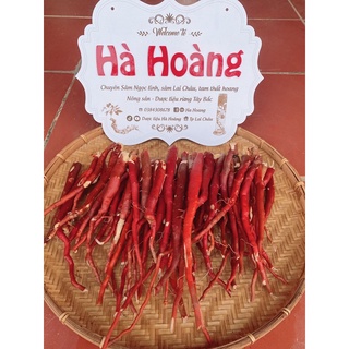 1kg sâm cau đỏ