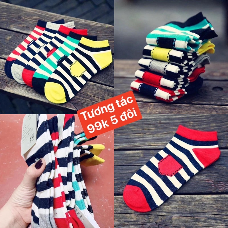 Set 5 đôi tất kẻ cổ ngắn cao cấp cho nữ♥️Elisa fashion♥️