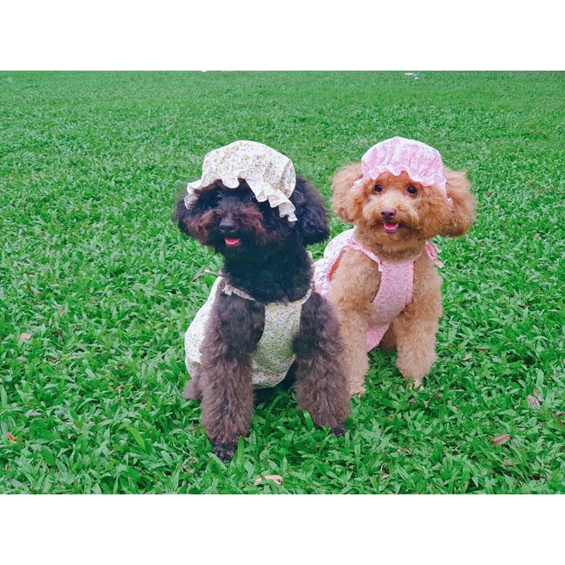 Set bikini hoa nhí kèm mũ bèo cho thú cưng/Bộ đồ dễ thương cho chó mèo