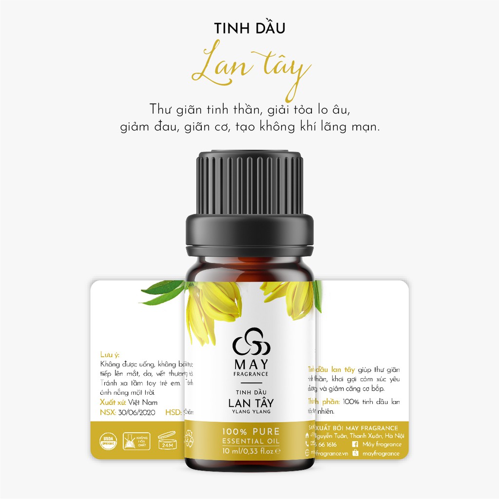 Tinh dầu Lan tây thiên nhiên thơm phòng May Fragrance lọ 10 ml