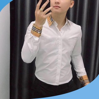 Áo Sơ Mi  - Áo Sơ Mi Lụa Cao Cấp - Chất Liệu Lụa Mềm Mịn, Mát Mẻ, Dáng Trẻ Trung Thanh Lịch, Mặc Bao Đẹp
