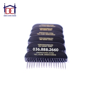 Lược mini Diện Chẩn.