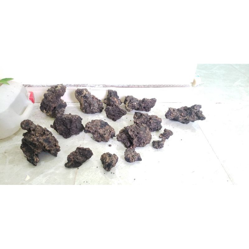 sỉ than lọc nước sỉ than bon sai thủy sinh