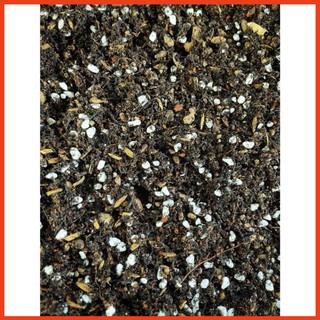 Đất trồng sen đá trộn sẵn (1kg) - Đất chuyên dụng cho sen đá