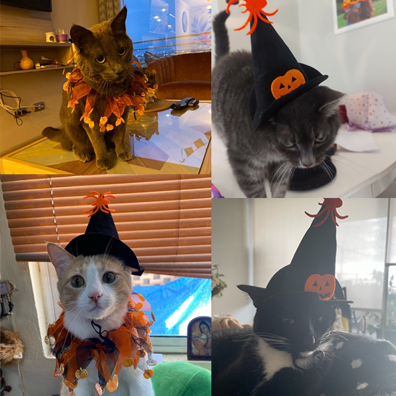Bộ nón + khăn choàng họa tiết Halloween cho thú cưng
