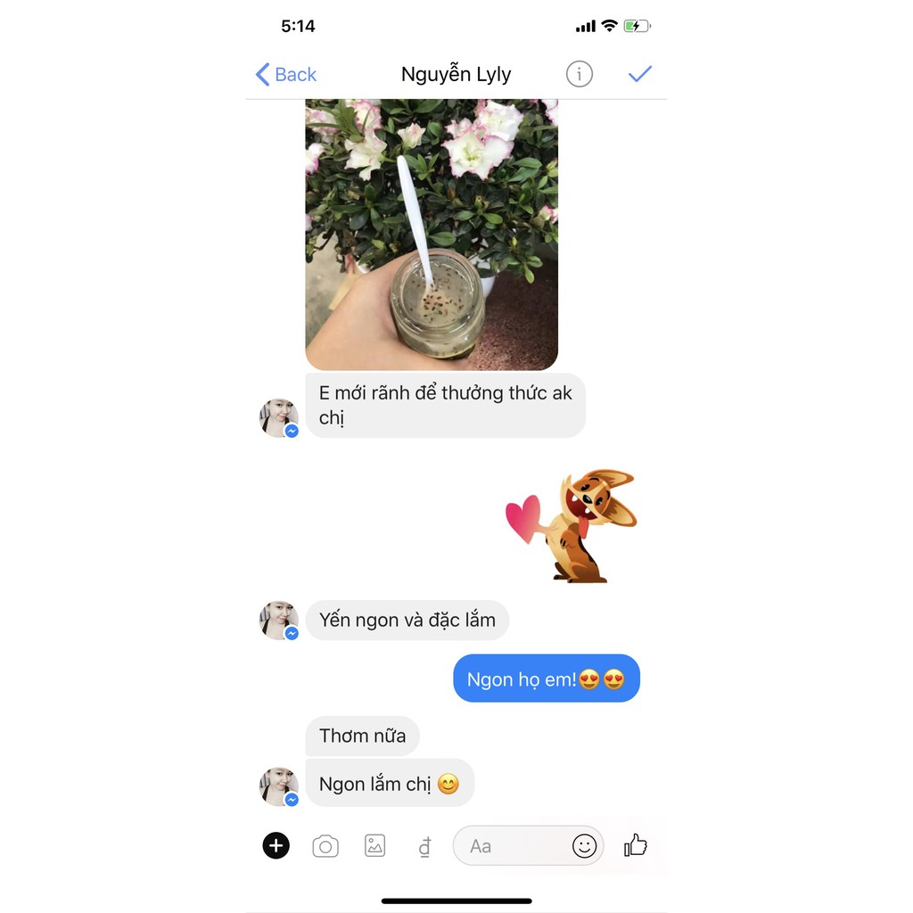 Yến Tươi chưng sẵn vị Hạt Chia | BigBuy360 - bigbuy360.vn