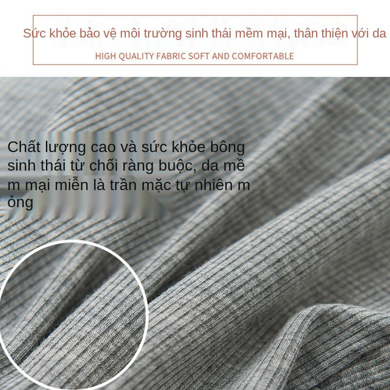 Quần an toàn có túi vải cotton tinh khiết, phần mỏng mùa hè chống hỏng dành cho phụ nữ, lót boxer bảo hiểm eo ca