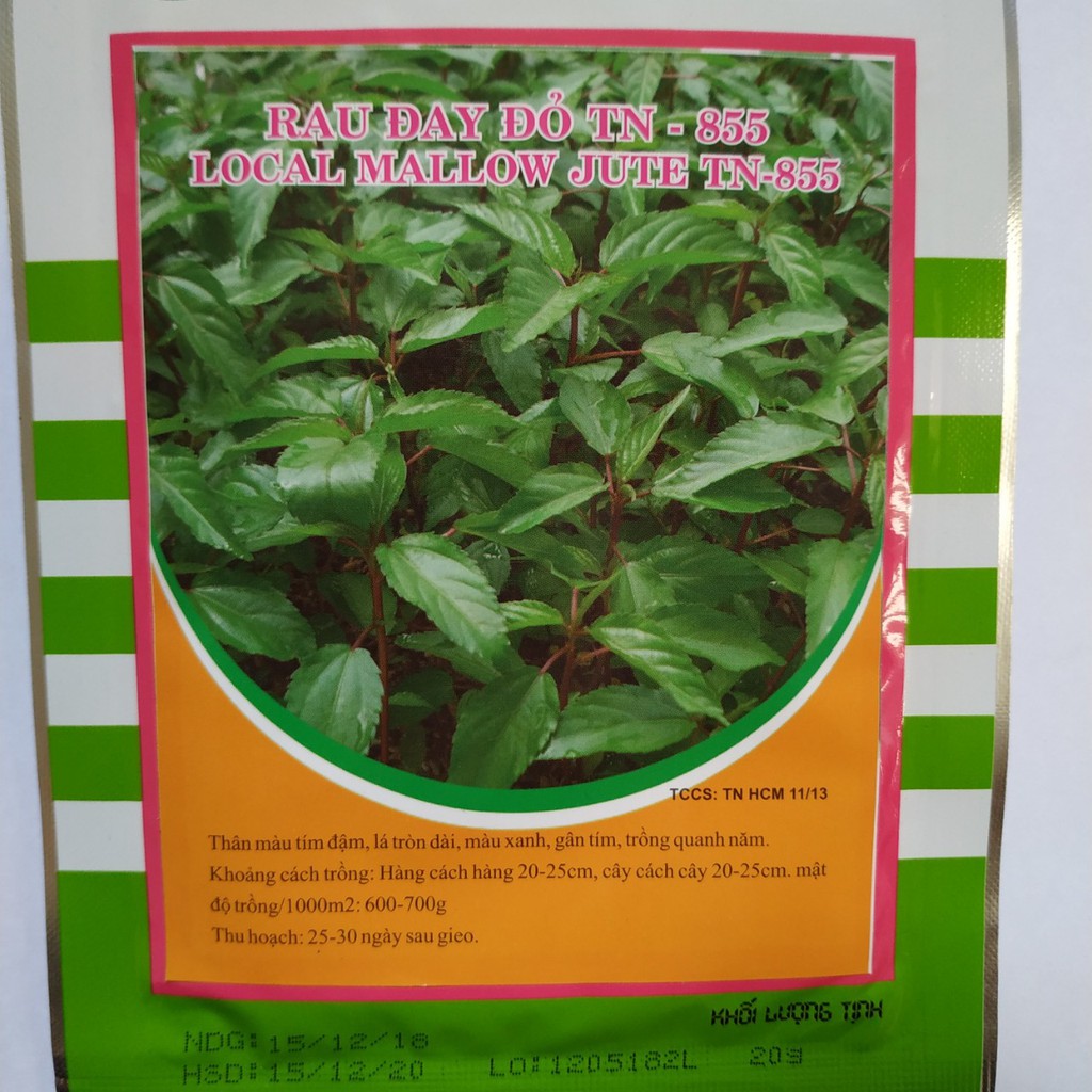 Hạt giống RAU ĐAY ĐỎ/xanh TN-855 ( LOCAL MALLOW JUTE)