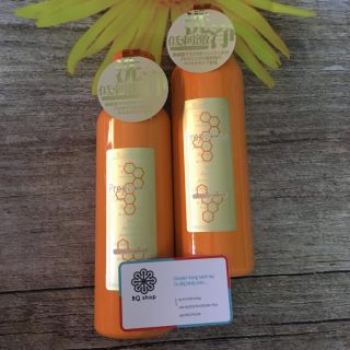 Nước súc miệng Nhật Propolinse 600ml