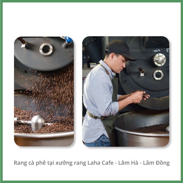 Cà phê phin Robusta Đan Phượng 250gr  - Laha Cafe - Rang sáng, mùi thơm trái cây