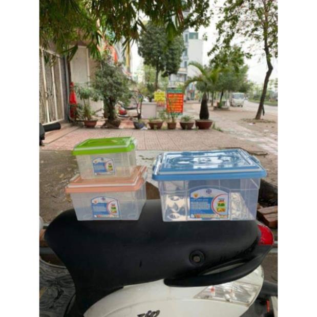 [Kho sỉ]  Combo 2 - Combo 3 Hôp Lạnh 2 Quai Việt Nhật Nhưa PP