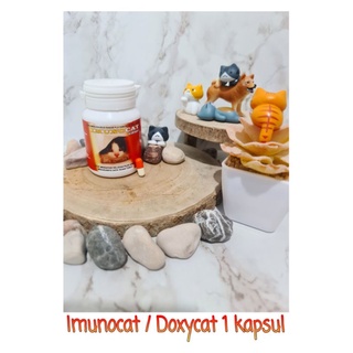 Image of Imunocat /  Doxycat flu kucing 1 kapsul