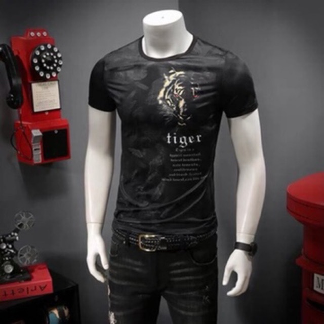 Áo Thun Nam Thể THao Co Dãn Nhiều Mẫu TCS 201 | BigBuy360 - bigbuy360.vn