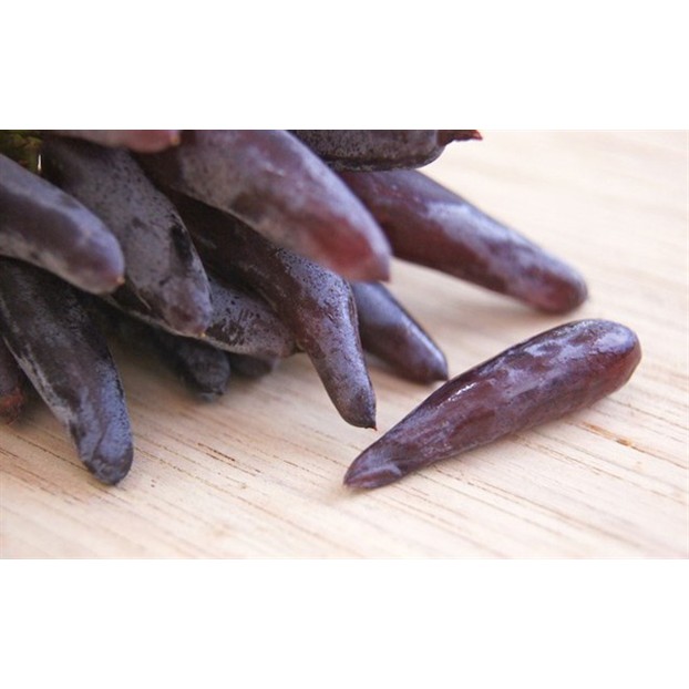 Cây Nho Phù Thủy FINGER GRAPE Giống (Vũ Nữ Ngón Tay Nhọn)