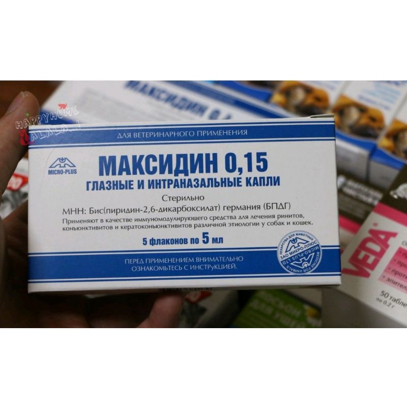 Maxidin 0,15 - Nhỏ mũi siêu hiệu quả cho mèo (hàng Nga)