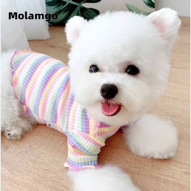 Áo Sweater Dễ Thương Cho Thú Cưng Shih Tzu Pomeranian