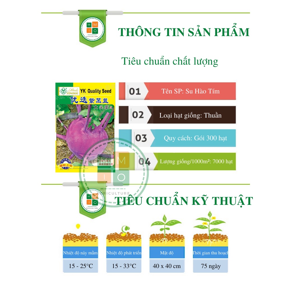 Hạt giống su hào tím chịu nhiệt Đài Loan