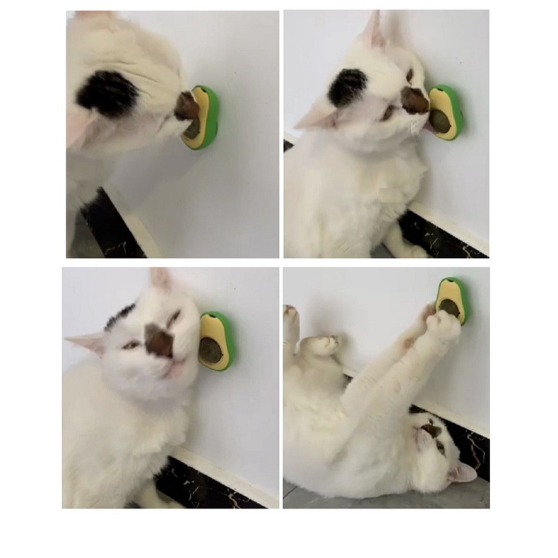 Cỏ mèo hình quả bơ - catnip cho mèo - đồ chơi giúp tiêu búi lông