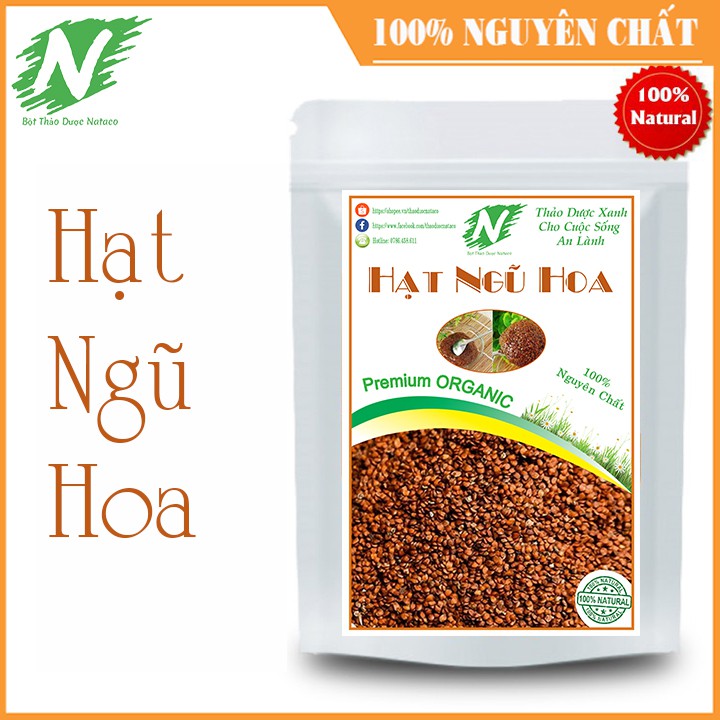 Hạt Ngũ Hoa( Hạt Đình Lịch )Nguyên Chất 100g