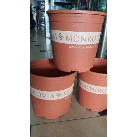 combo 2 chậu MONROVIA 2GL trồng hoa hồng đường kính 22cm