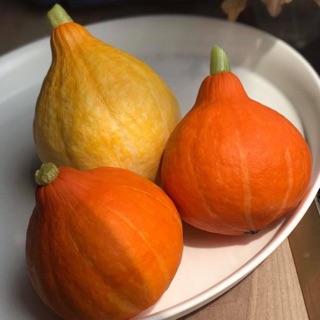 Hạt giống bí ngô Red Kuri