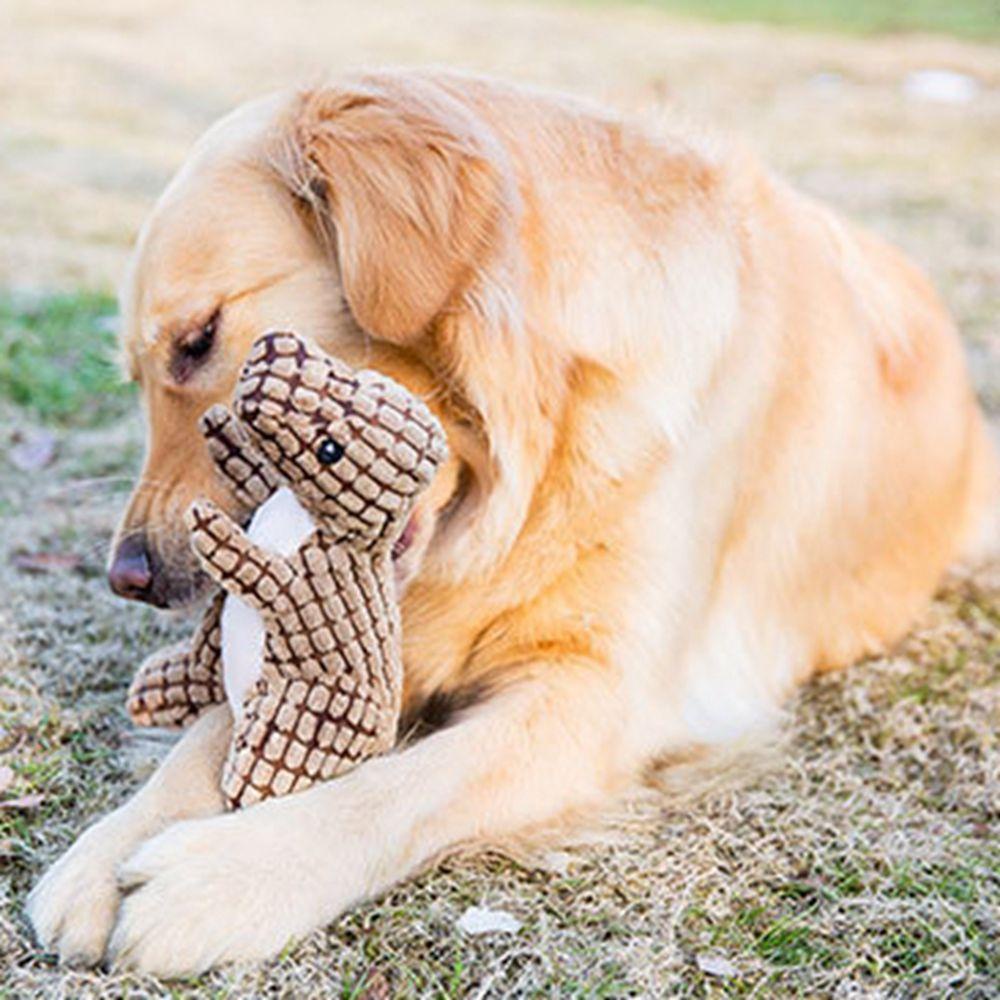 Đồ Chơi Chống Cắn Tương Tác Với Thú Cưng