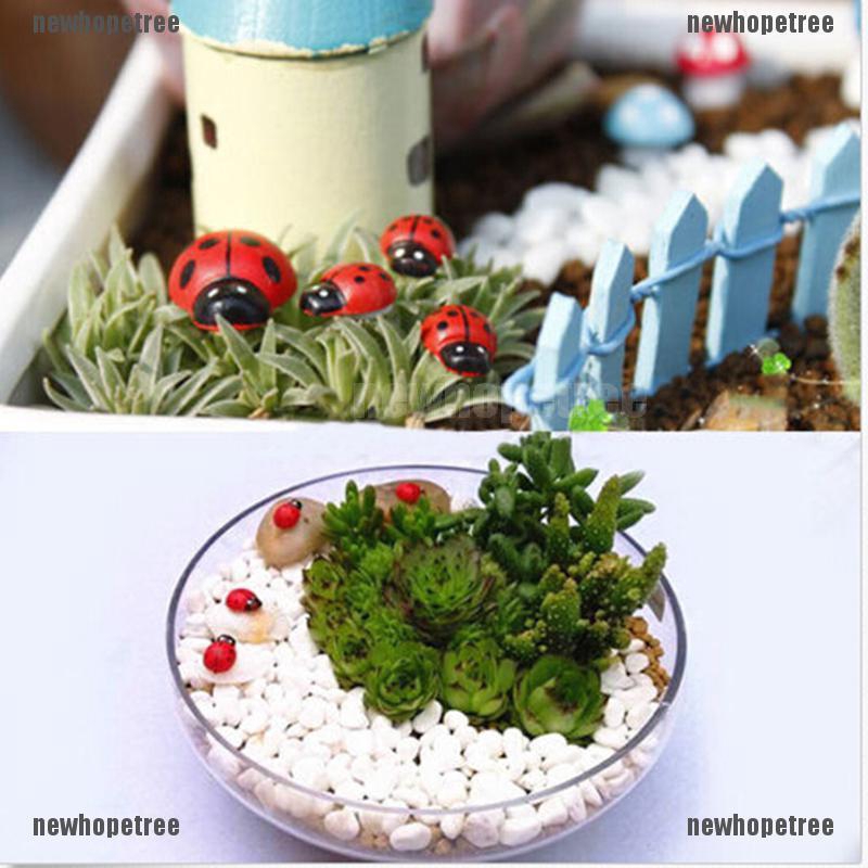 Bọ Cam Mini Trang Trí Vườn Của Bạn