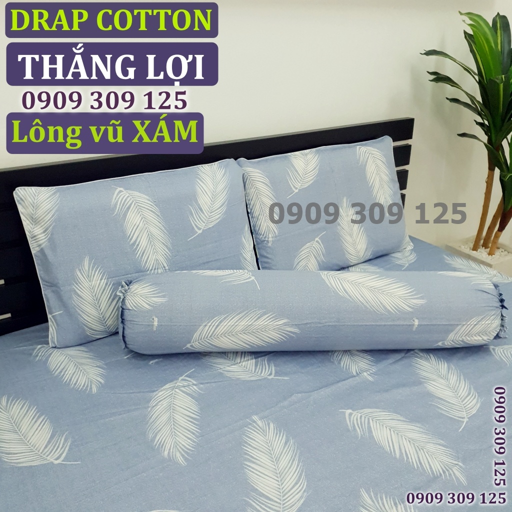 (RẺ VÔ ĐỊCH) bộ drap cotton Thắng Lợi, ga giường (ảnh thật) LÔNG VŨ XÁM