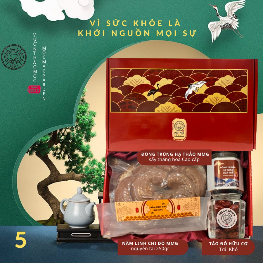 Set quà biếu Cao Cấp vì sức khỏe | BigBuy360 - bigbuy360.vn