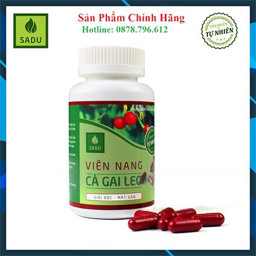 Cà Gai Leo Sadu Viên Nang - [CHÍNH HÃNG] - Cách tốt nhất để bảo vệ gan | BigBuy360 - bigbuy360.vn