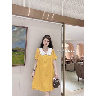 Váy suông cổ bèo trắng cổ đính ngọc
