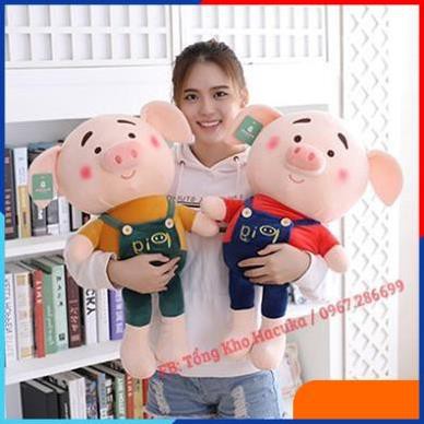 [FREESHIP - HÀNG LOẠI 1] Thú nhồi bông, gấu bông Heo Pig dễ thương hàng việt nam