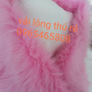 Cổ lông áo khoác màu hồng phấn