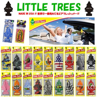 COMBO 15 CÂY THÔNG THƠM LITTLE TREES