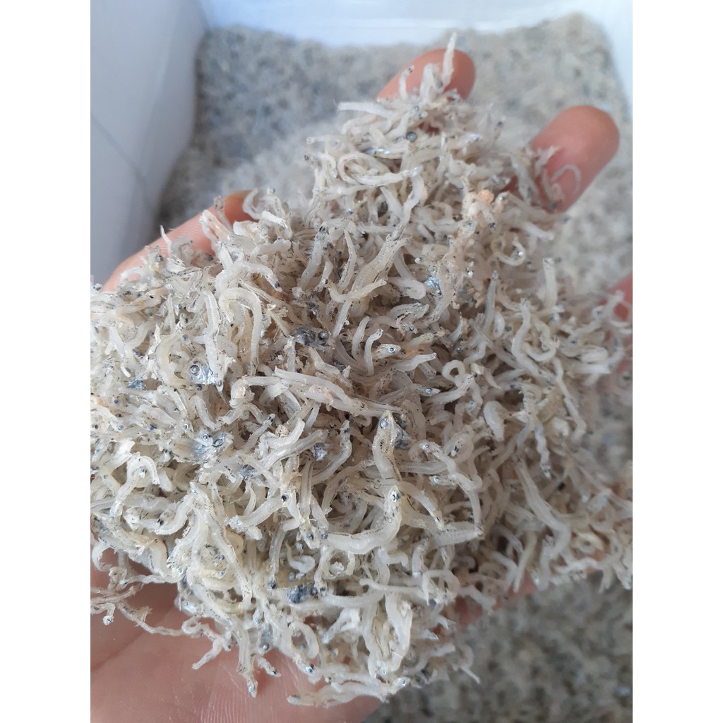 Cá Cơm Mờm Trắng . Cá Cơm Khô Nha Trang