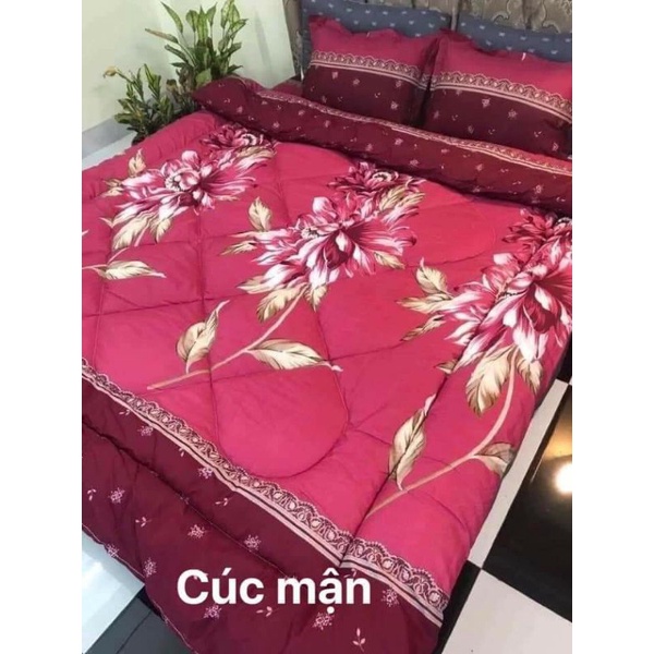 Sét chăn phao dầy dặn 5 món siêu xinh